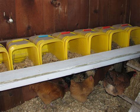 metal chicken roosting boxes|diy chicken co-op nesting boxes.